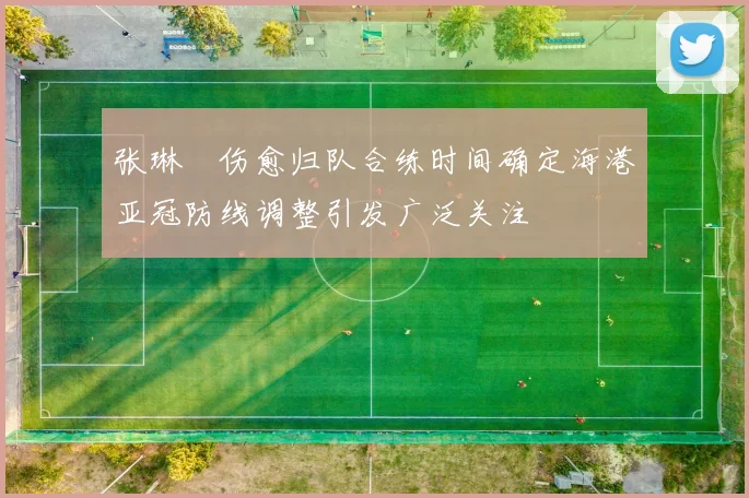 张琳芃伤愈归队合练时间确定海港亚冠防线调整引发广泛关注